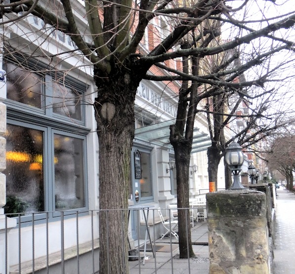 Terrasse vor dem Eingang zum Wirtshaus – mit den vier Linden 20130220084643#1023